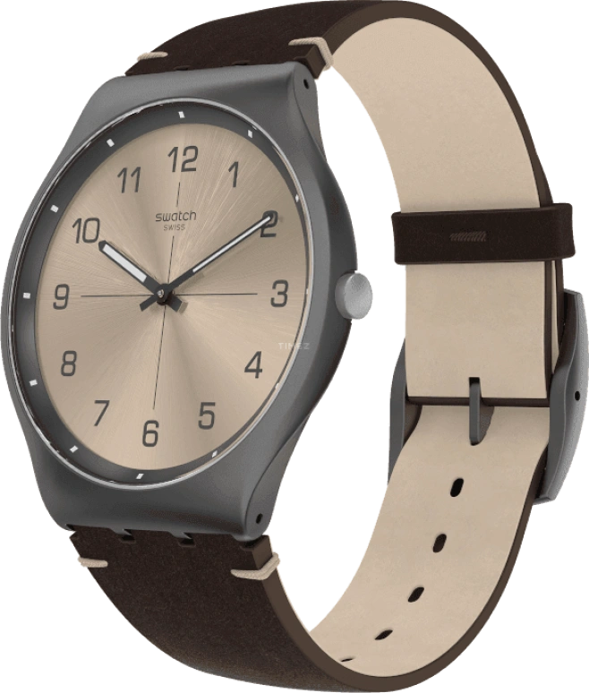 Swatch,SKIN ,SS07M100