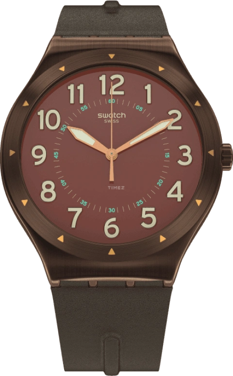 Swatch,IRONY 42.70x47.20mm,42.70x47.20mm,YWC100