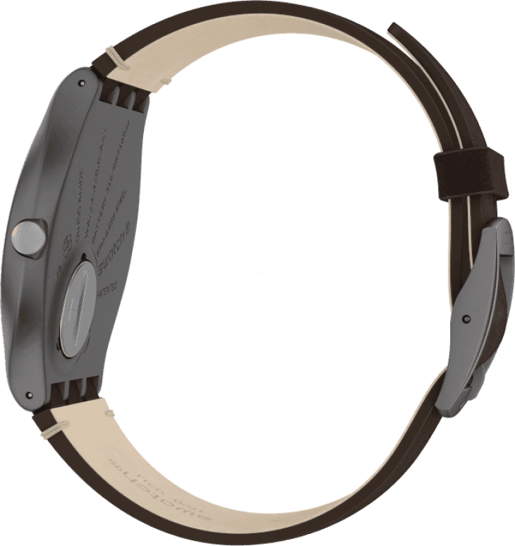 Swatch,SKIN ,SS07M100