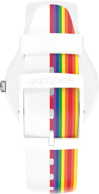 Swatch,Originals 41mm,41mm,Sapphire,Crystal Glass,SUOW171