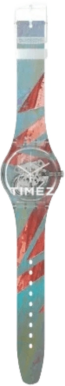 Swatch Other SUOK137-029