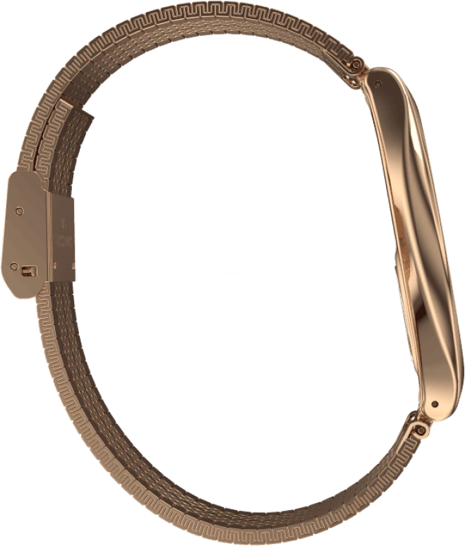 Swatch,SKIN ,Stainless Steel,Gold,SYXG101GG