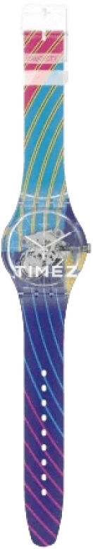 Swatch Other SUOK145-023
