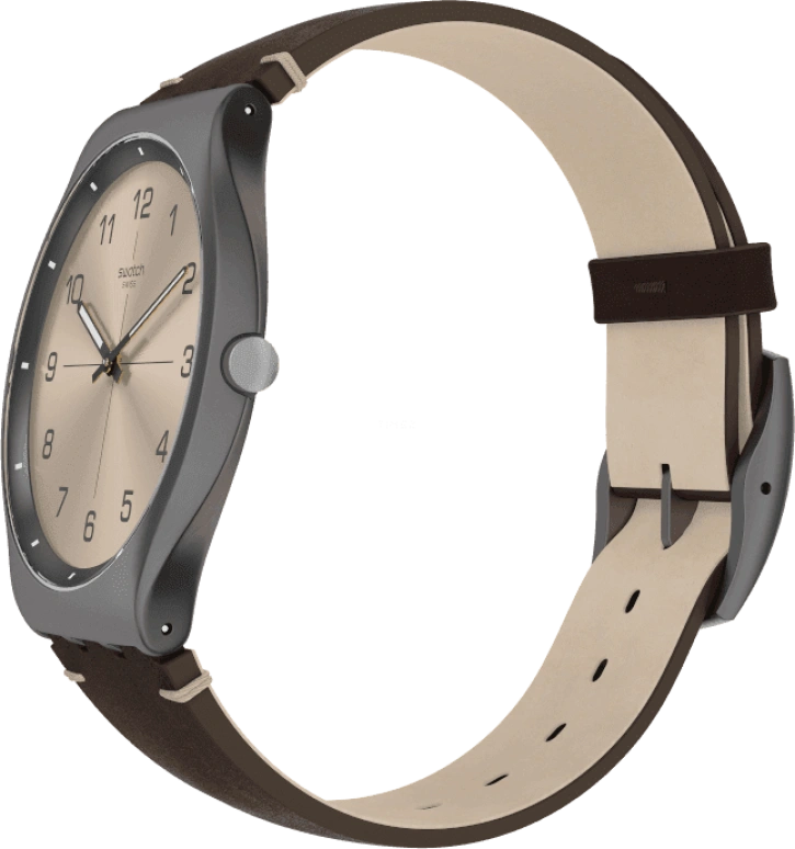 Swatch,SKIN ,SS07M100