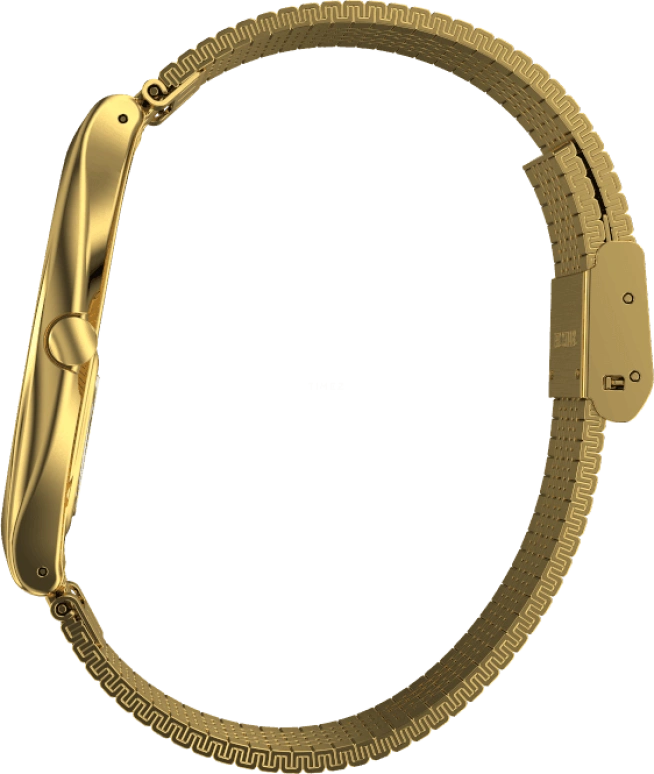 Swatch,SKIN ,Gold,SYXG106GG