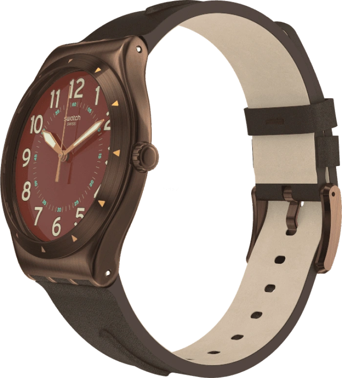 Swatch,IRONY 42.70x47.20mm,42.70x47.20mm,YWC100
