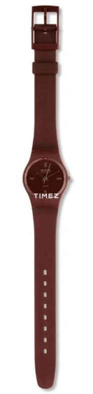 Swatch,Other 25mm,25mm,Plastic,Coffee,Quartz,Sapphire,Crystal Glass,Round,LR100
