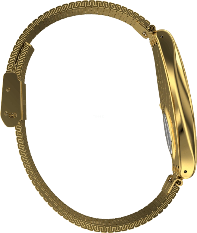 Swatch,SKIN ,Gold,SYXG106GG