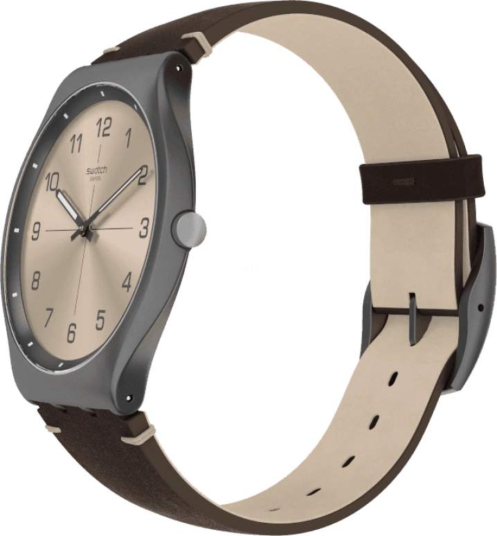 Swatch,SKIN ,SS07M100