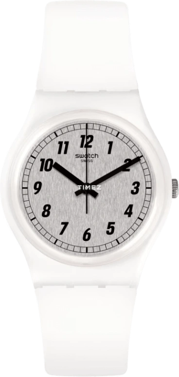 Swatch Originals GW194