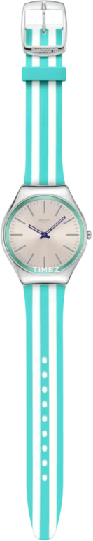 Swatch,SKIN 38mm,38mm,Stainless Steel,Grey,Quartz,Round,Gray,SYXS160