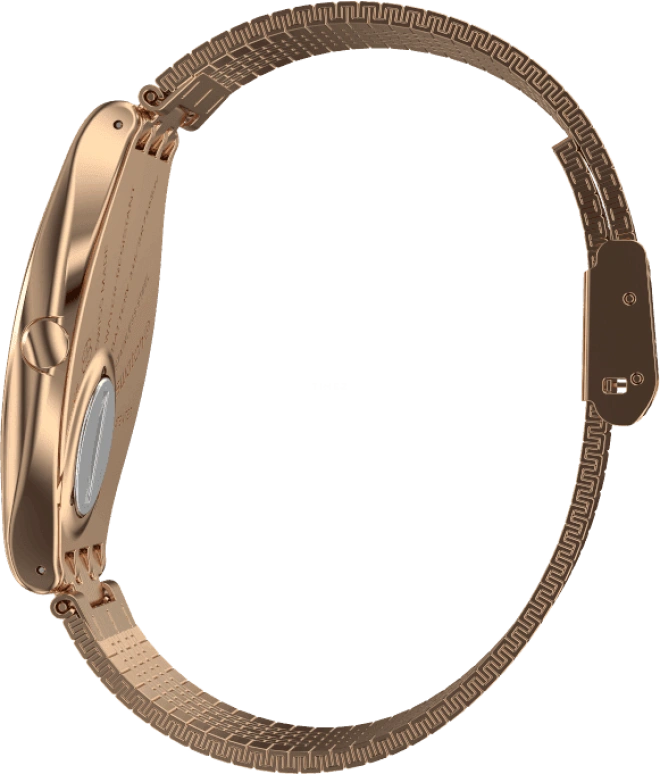 Swatch,SKIN ,Stainless Steel,Gold,SYXG101GG