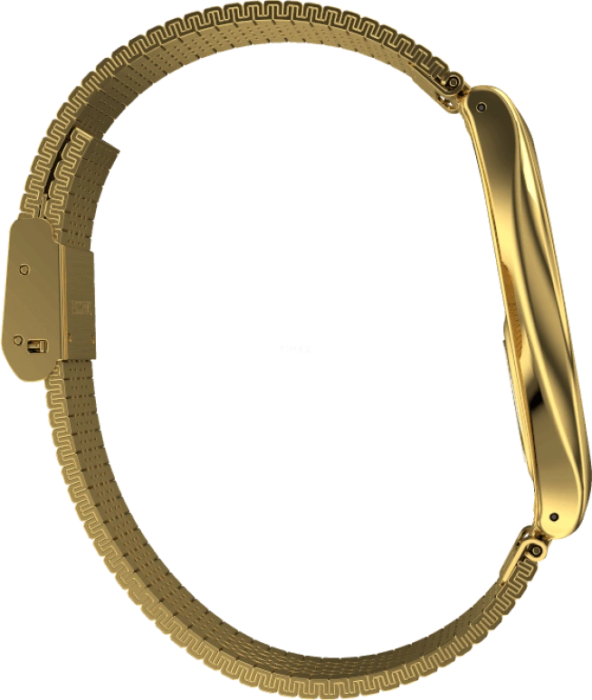 Swatch,SKIN ,Gold,SYXG106GG