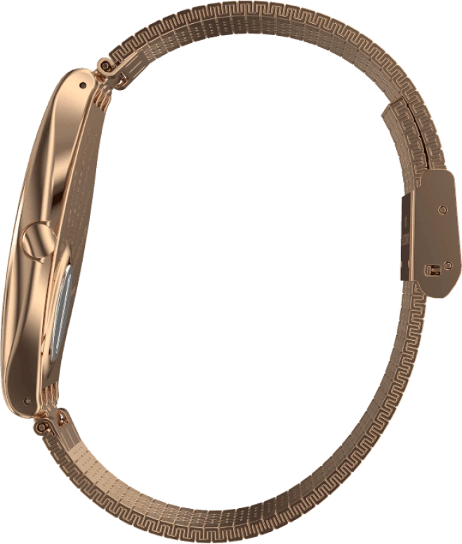 Swatch,SKIN ,Stainless Steel,Gold,SYXG101GG