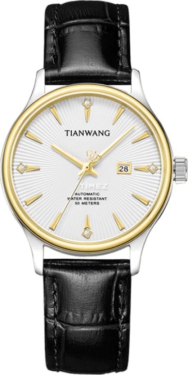 TianWang,Other ,Stainless Steel,Silver White,Automatic,Day,Sapphire,Glass,LS51246T,LS51246T.D.LB.S