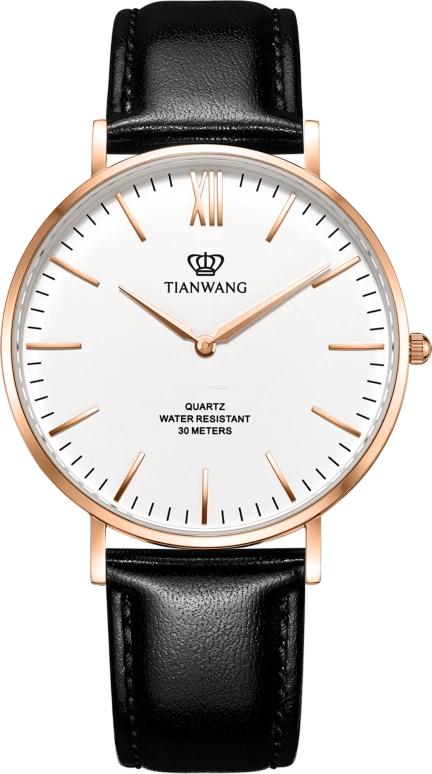 TianWang Other GS31037P.LB.W
