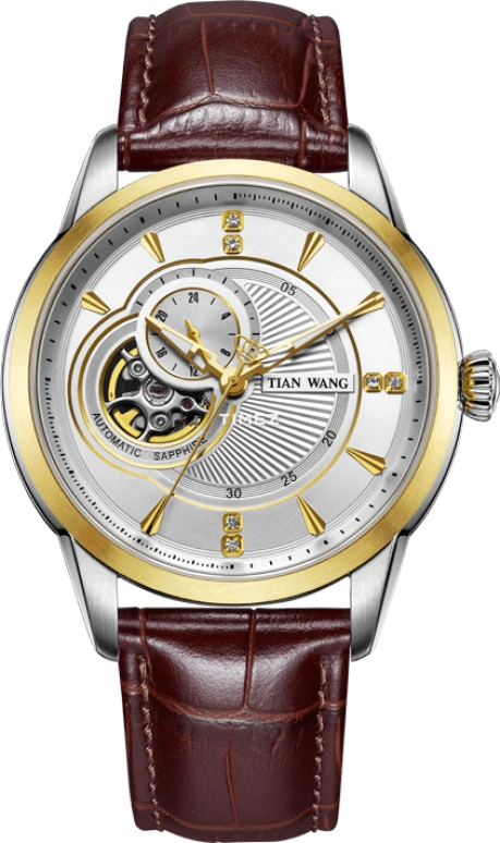 TianWang,Cardiac ,Stainless Steel,White,Automatic,Day,Sapphire,Glass,GS5883T,GS5883T/D