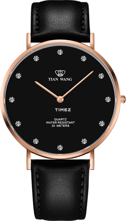 TianWang TWINKLE GS3968P-B
