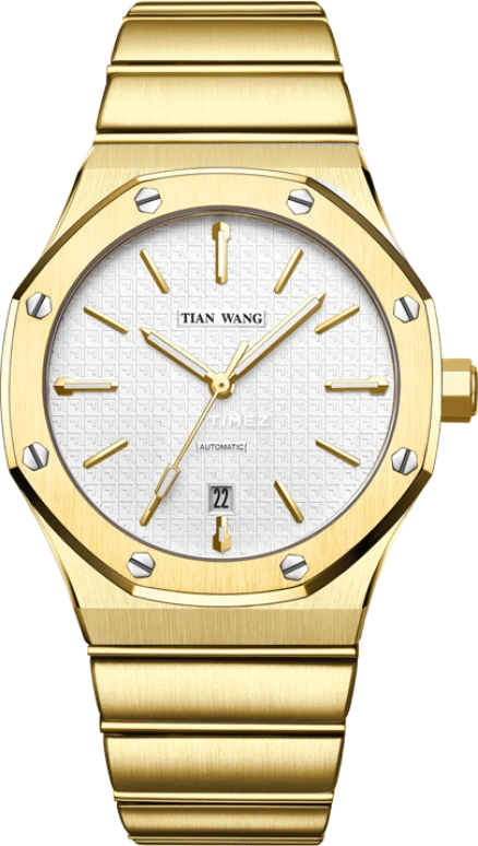 TianWang,X ,Stainless Steel,White,Automatic,Day,Sapphire,Crystal Glass,GS51041G,GS51041G.D.G.W