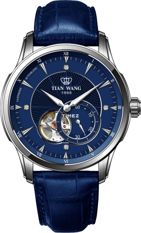 TianWang,Round Times ,Stainless Steel,Blue,Automatic,Sapphire,Crystal Glass,Round,GS5963S,GS5963S/D-U-1