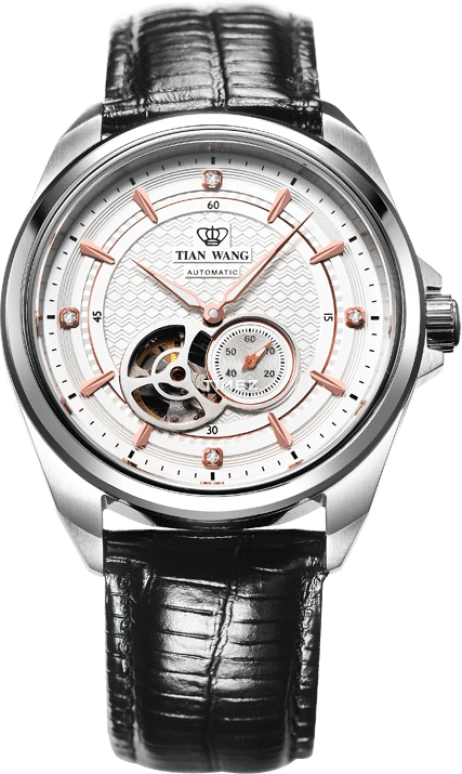 TianWang Other GS5811S/D-C