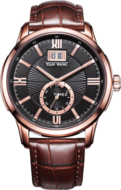 TianWang Grace GS3741P/D