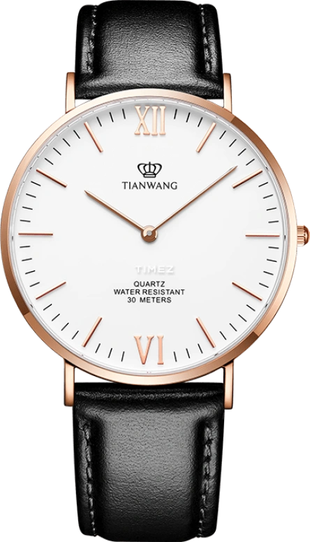 TianWang TWINKLE GS3851P.LB.W