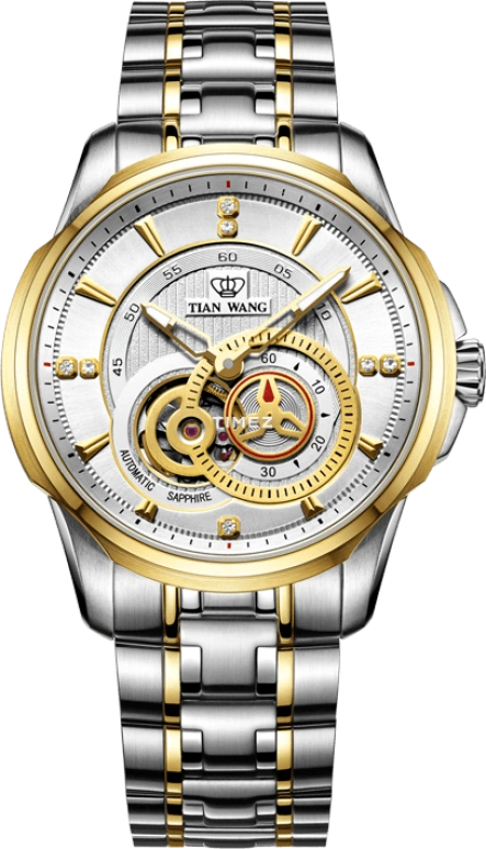 TianWang Round Times GS5834T/D