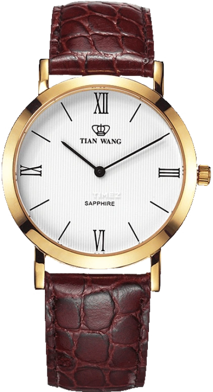 TianWang,Other ,Stainless Steel,White,Quartz,Sapphire,Glass,Round,GS3612G,GS3612G-Z