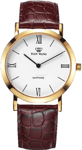 TianWang Other GS3612G-Z