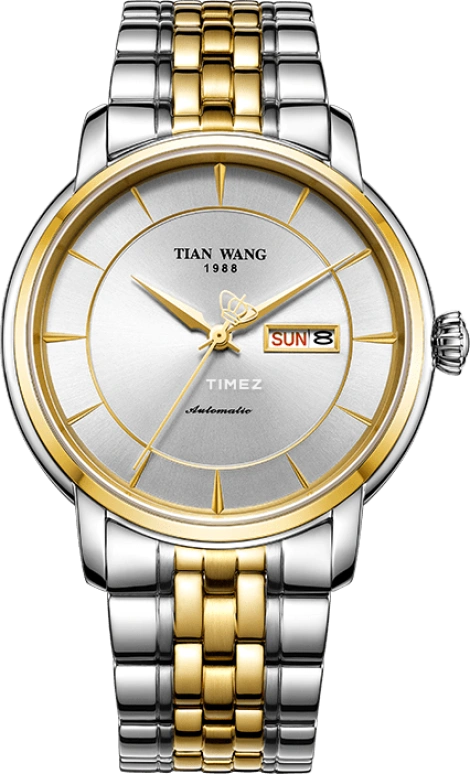 TianWang,Permanent ,Stainless Steel,Silver,Automatic,Date,Day,GS5938T,GS5938T.DD.T.W-1