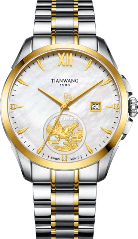 TianWang,Legend 43.20mm,43.20mm,Stainless Steel,White,Automatic,Day,Sapphire,Crystal Glass,GS51102T,GS51102T.D.T.KW