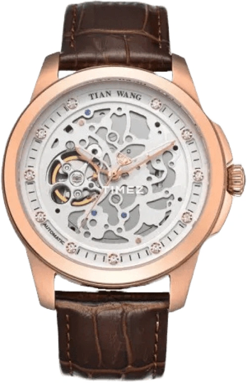 TianWang,Other ,Stainless Steel,Rose Gold,White,Automatic,Sapphire,Glass,Round,GS5828P