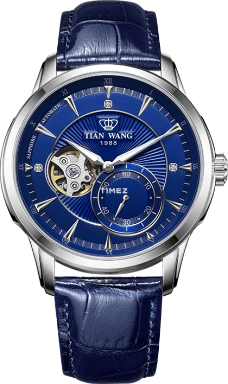 TianWang,Round Times 42.50mm,42.50mm,Stainless Steel,Blue,Automatic,Sapphire,Glass,Round,GS5963S,GS5963S/D-U