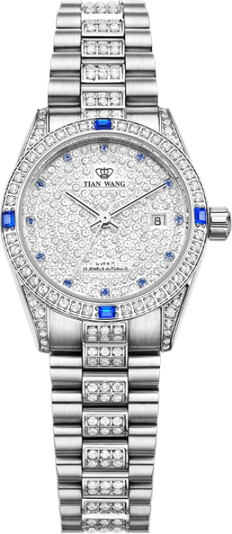 TianWang Famous Anisan LS5613S/DD