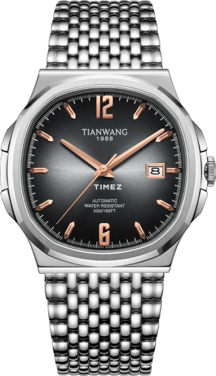TianWang WEI GS51233S.D.S.B
