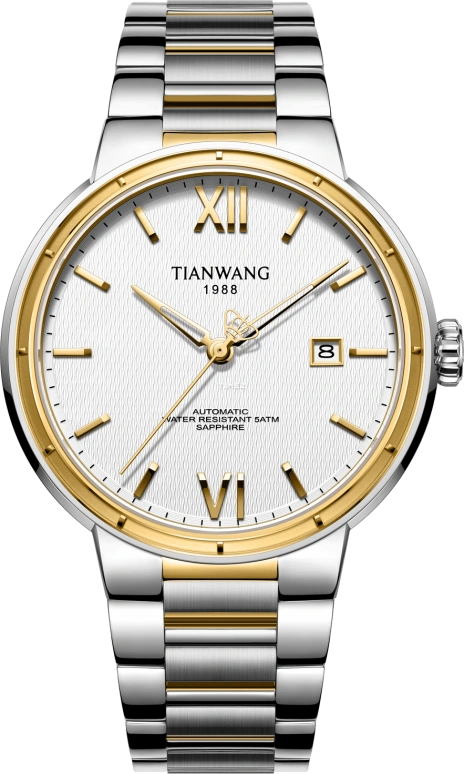 TianWang Permanent GS51563T.D.T.W