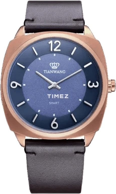 TianWang TIANWANG INO SWA31206-LANZONG
