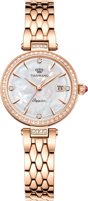 TianWang,Blossoms 27mm,27mm,Stainless Steel,Silver White,Quartz,Day,Sapphire,LS31367P,LS31367P.D.P.W