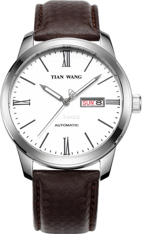 TianWang,Other ,Stainless Steel,White,Automatic,Date,Day,GS5849S,GS5849S/DD-A
