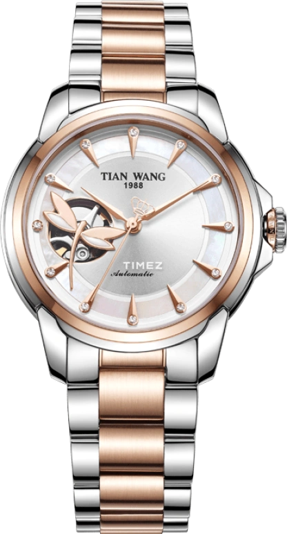 TianWang Fille LG51046TP.TP.S