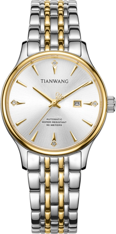 TianWang Other LS51379T.D.T.S