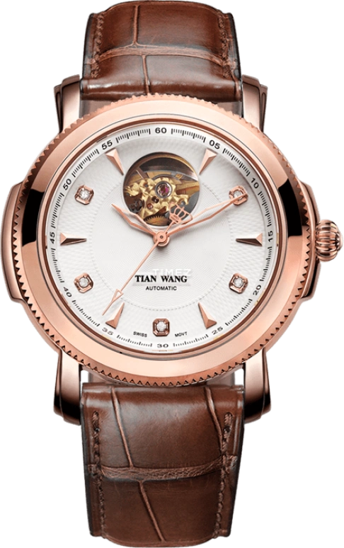 TianWang Elite 6869