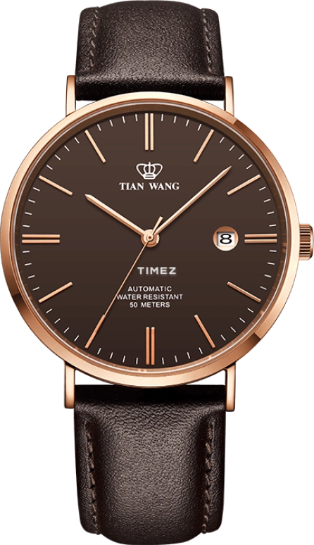 TianWang TWINKLE GS5955P.D.LC.C