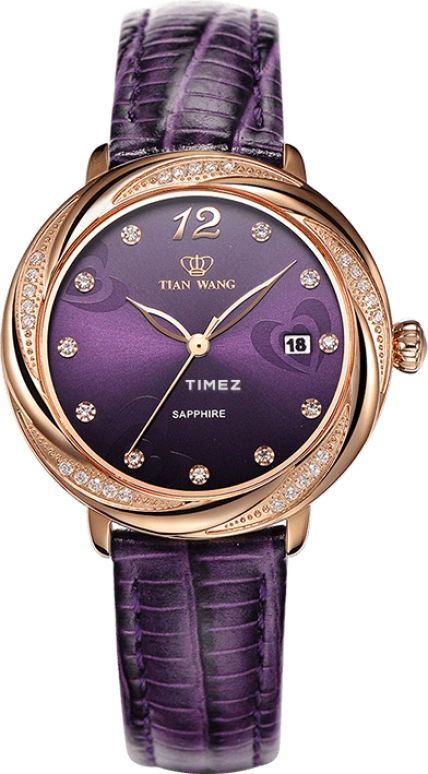 TianWang Other LS3832P/D-PE
