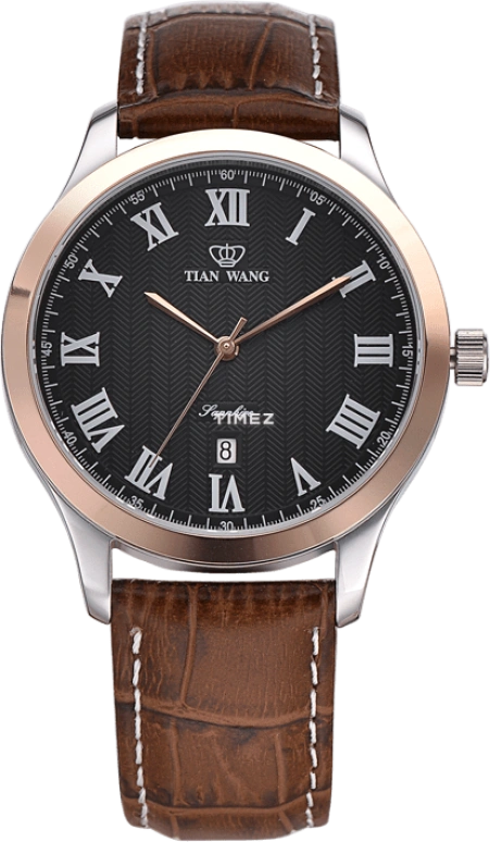 TianWang,Other ,Stainless Steel,Rose Gold,Black,Quartz,Day,Sapphire,Glass,GS3687TP,GS3687TP/D