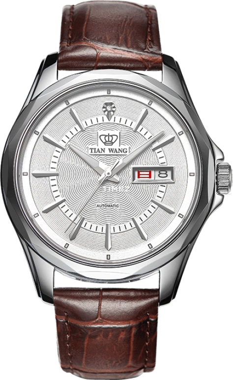 TianWang,MOUNTAINS ,Stainless Steel,White,Automatic,Date,Day,GS5751S,GS5751S/DD-A