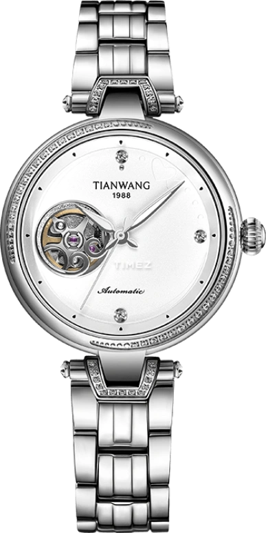 TianWang Star LS51145S.S.W
