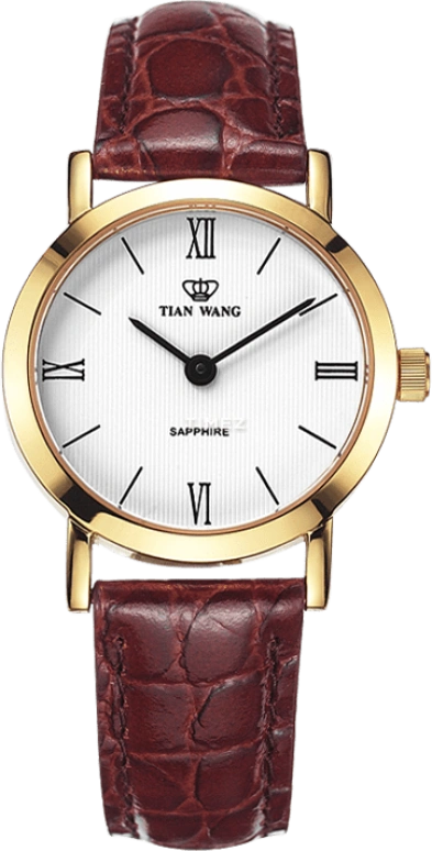 TianWang Other LS3612GZONG