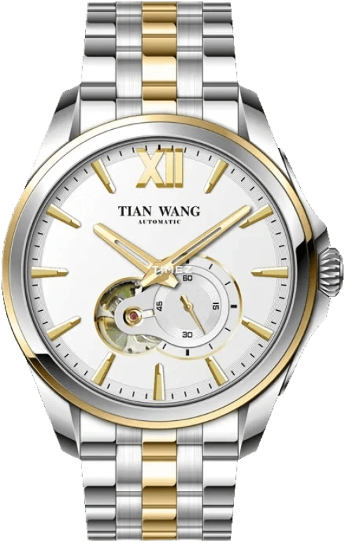 TianWang Legend GG5978T.D.T.W-1